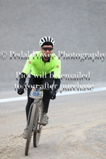 20250503SCRAPPYBADGER-8022