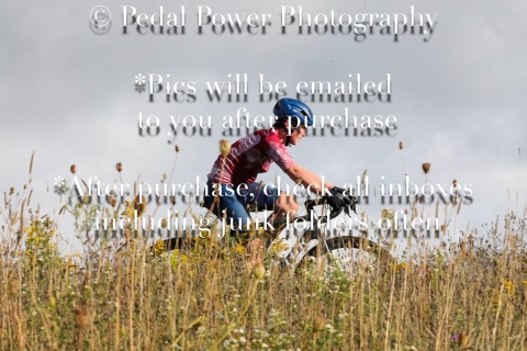 20250907CLARKFARMCX-9138-2