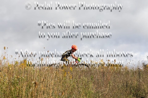 20250907CLARKFARMCX-9144-2