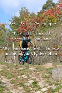 20250927FALLEPIC810-12-3176