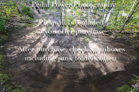 20250927FALLEPIC812-2-3701