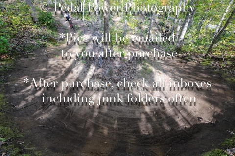 20250927FALLEPIC82-4-3798