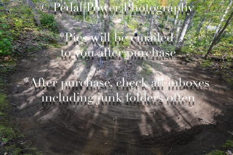 20250927FALLEPIC82-4-3805
