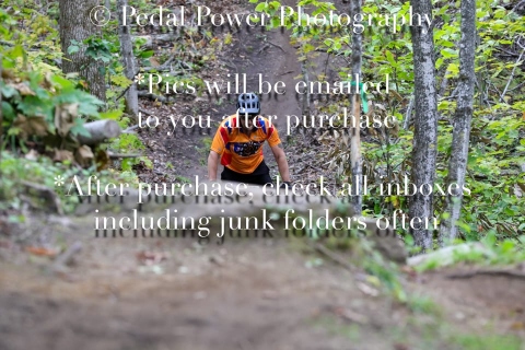 20250927FALLEPIC82-4-4190