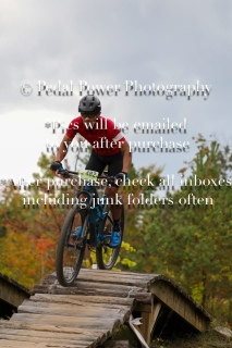 20250927FALLEPIC82-4-4782