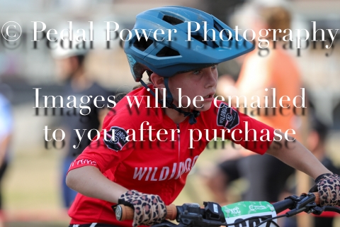 20250815HORSESHOEPROVST5PM-0900